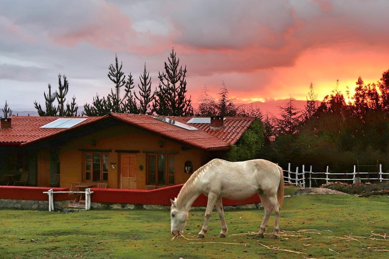 The Lazy Dog Inn A Mountain Lodge Уарас Екстер'єр фото