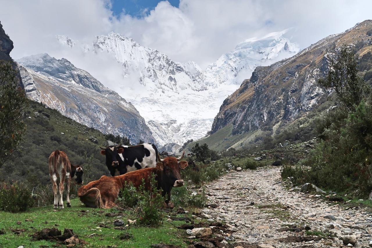 The Lazy Dog Inn A Mountain Lodge Уарас Екстер'єр фото